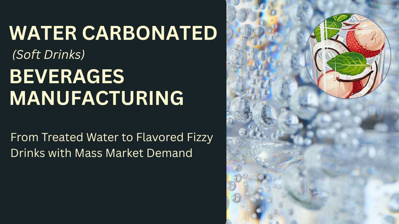 Water Carbonated Beverages (Soft Drink) Business