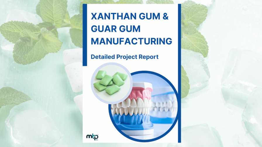 Xanthan Gum and Guar Gum Manufacturing DPR