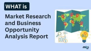 What is Market Research and Business Opportunity Report