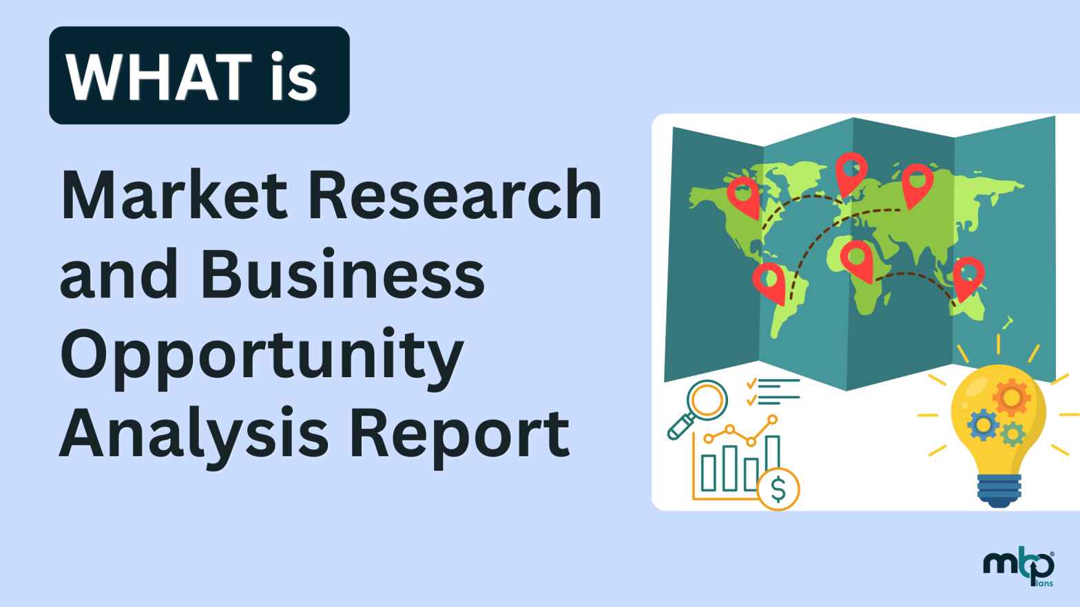 What is Market Research and Business Opportunity Report