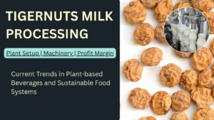How to Start Tigernut Milk Processing