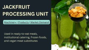 how to start a jackfruit processing business