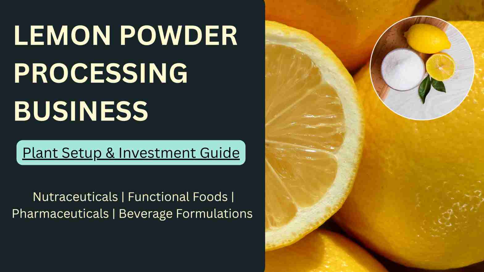 How to start LEMON POWDER PROCESSING BUSINESS