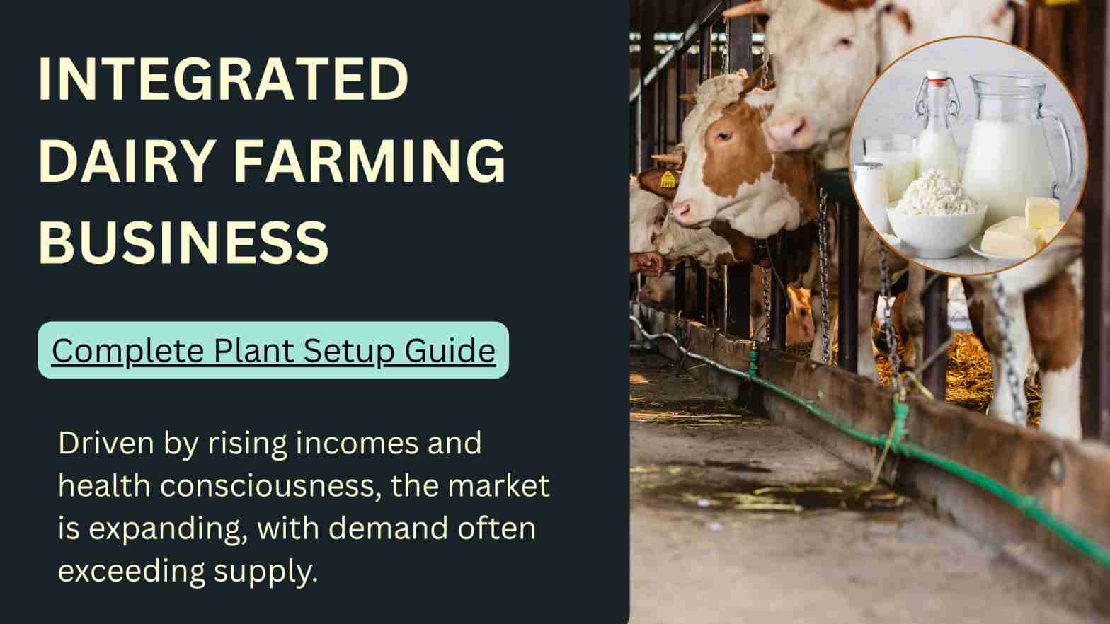 Integrated Dairy Farm Setup Guide