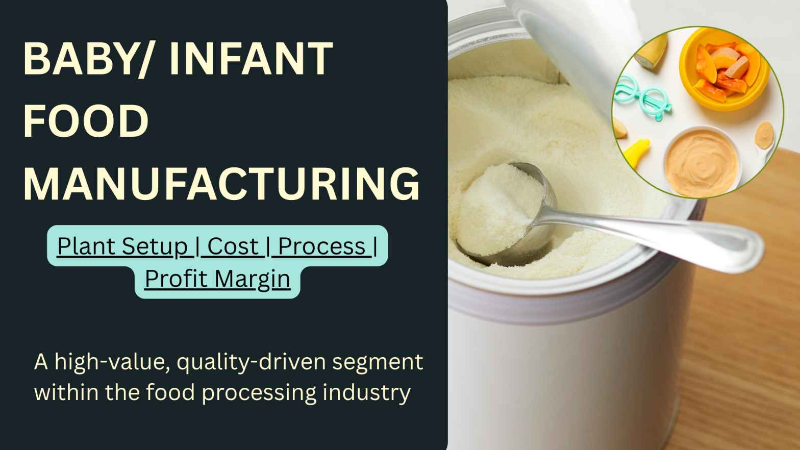 How to Start Infant Food Manufacturing Business