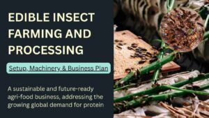 How to Start Edible Insect Farming Business