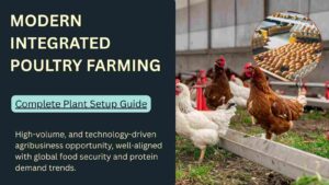 How to Start Modern Poultry Farming Business
