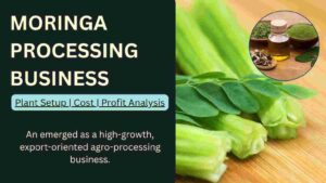 How to Start Moringa Processing Business