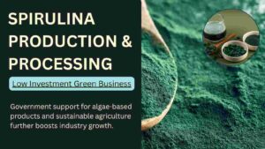 How to Start Spirulina Farming and Processing Business