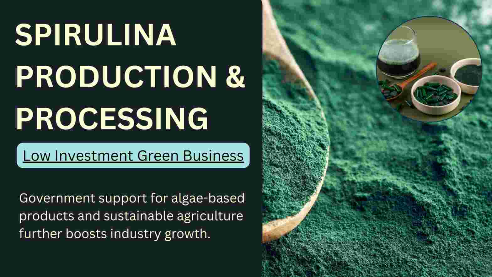 How to Start Spirulina Farming and Processing Business