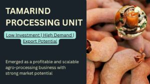 Tamarind Processing Business in India
