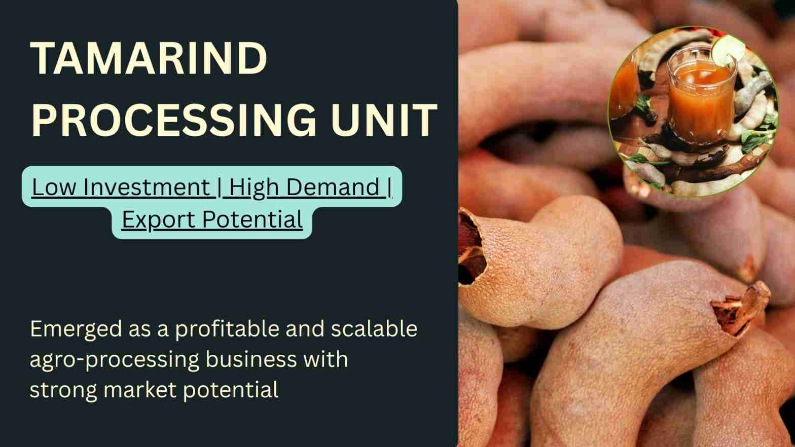 Tamarind Processing Business in India