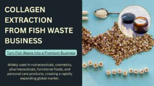 How to Start Fish Collagen Manufacturing Business