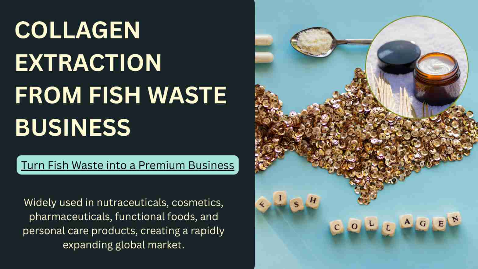 How to Start Fish Collagen Manufacturing Business