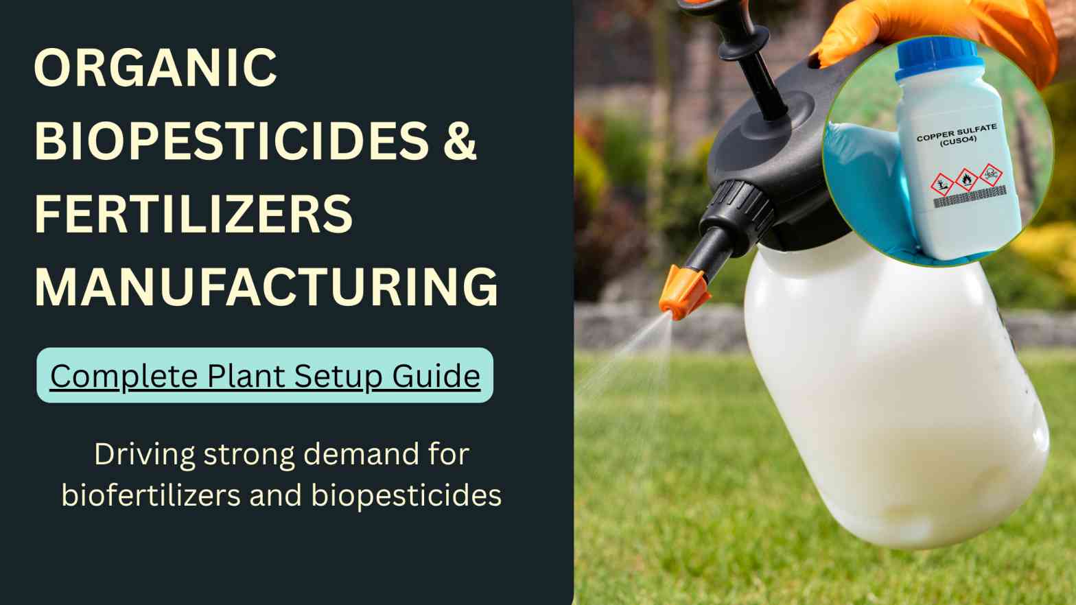 How to Start Organic Biopesticides and Biofertilizers Manufacturing Business
