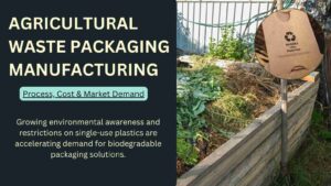 What Makes Biodegradable Packaging from Agricultural Waste a Profitable Business