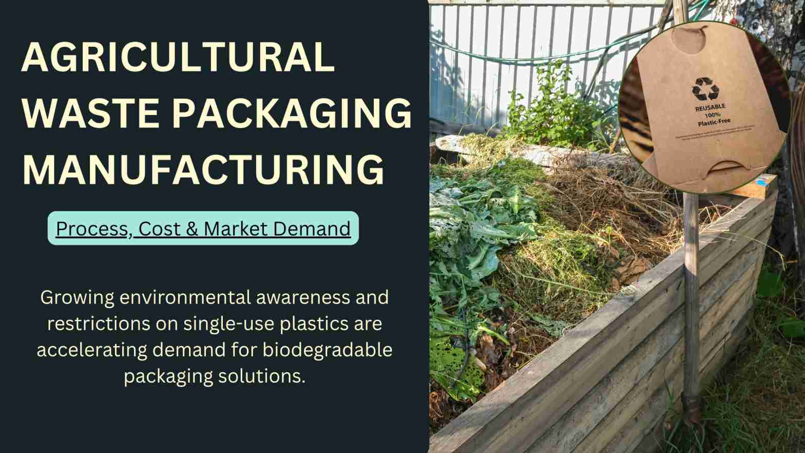What Makes Biodegradable Packaging from Agricultural Waste a Profitable Business