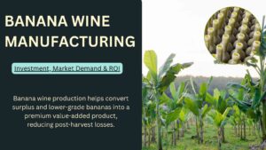 What Makes Banana Wine Manufacturing a Profitable Business