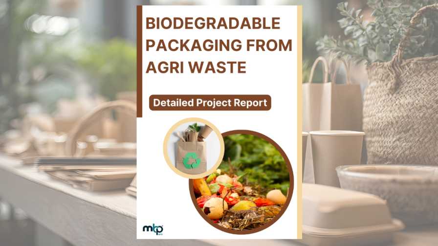 Agri-waste Packaging Business Project Report