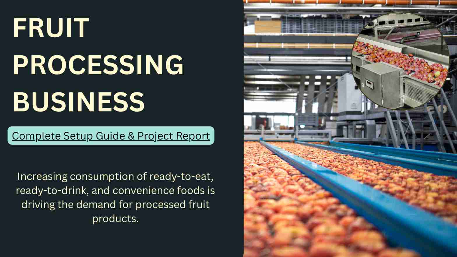 What Makes Fruit Processing a Profitable Business