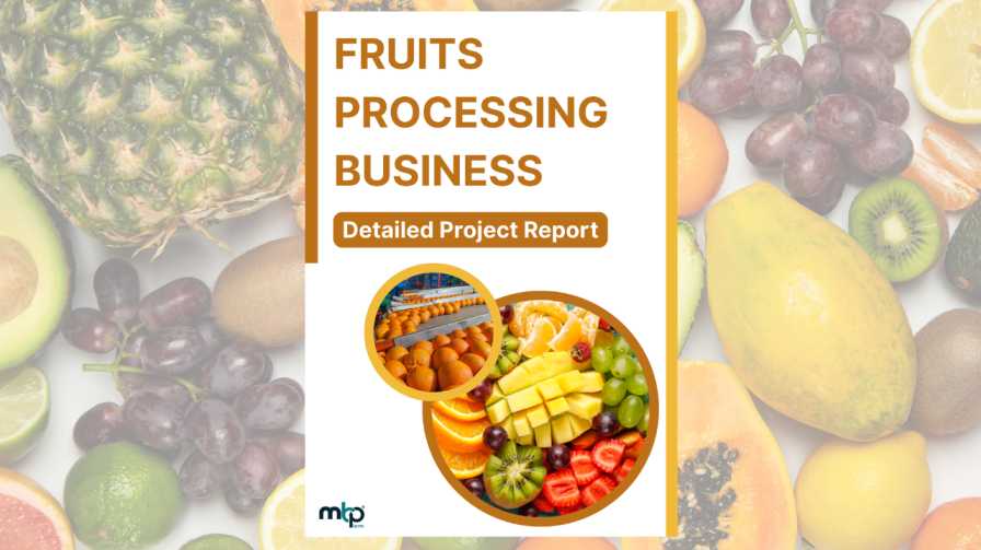 Fruits Processing Project Report