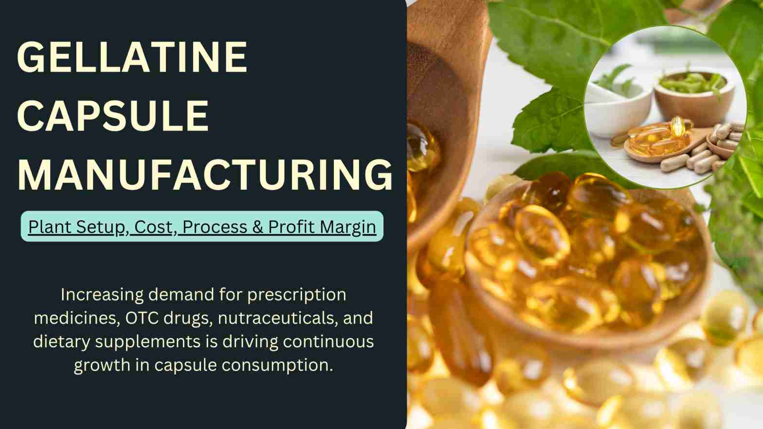 What Makes Gelatin Capsule Manufacturing a Profitable Business