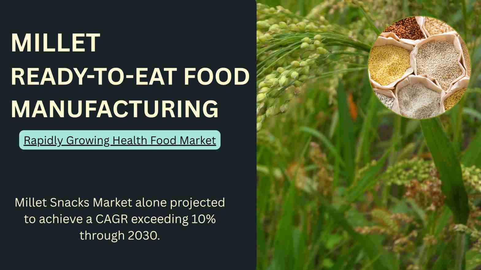 What Makes Millet-Based Ready-to-Eat Food Manufacturing a Profitable Business