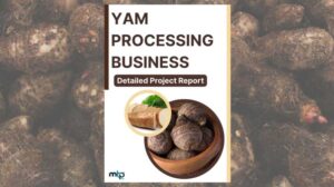 Yam Processing Business Project Report