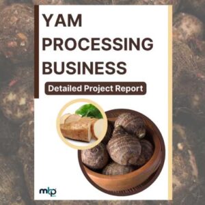 Yam Processing Business Project Report