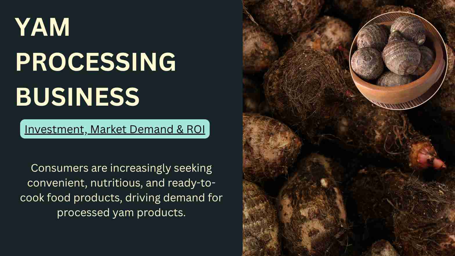 What Makes Yam Processing a Profitable Business