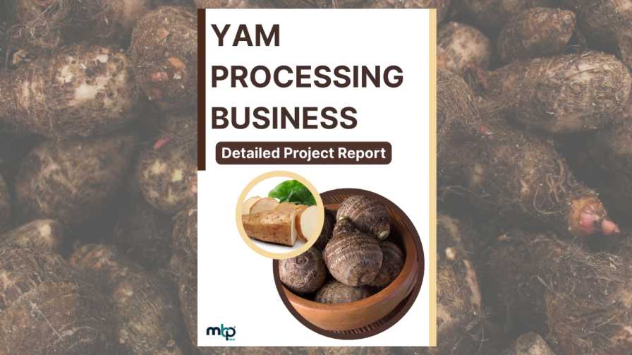 Yam Processing Business Project Report
