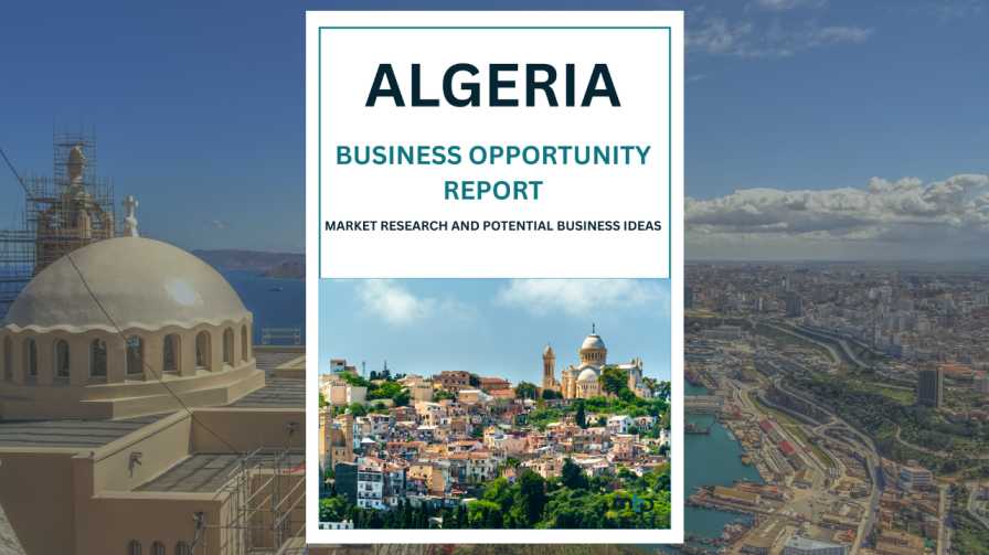 Algeria Business Opportunity Analysis Report
