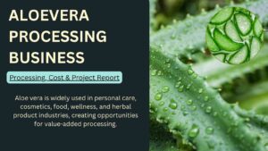 How to Start an Aloe Vera Processing Business