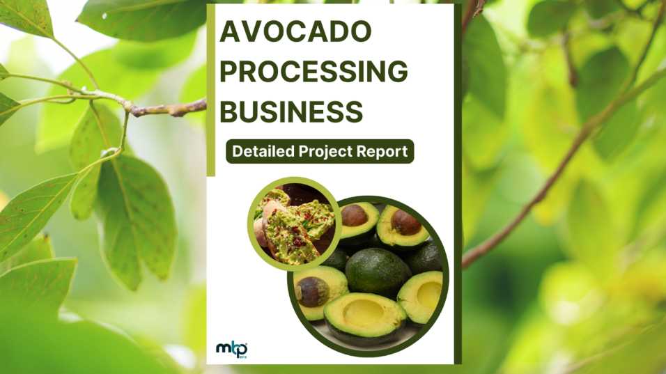 Avocado Processing Business DPR