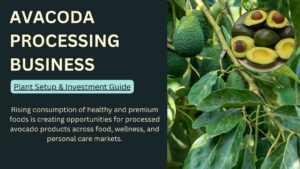 How to Start an Avocado Processing Business