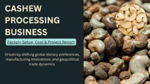 How to Start a Cashew Processing Business
