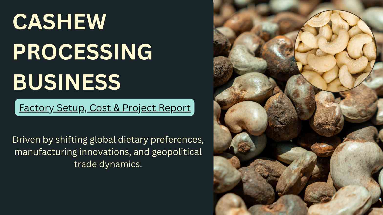 How to Start a Cashew Processing Business