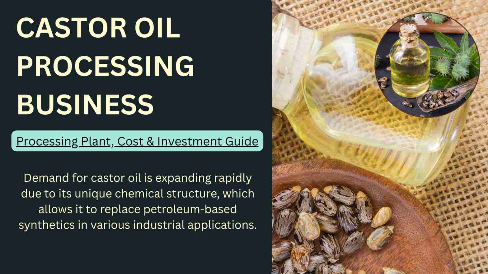 How to Start a Castor Oil Manufacturing Business