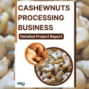 Cashew nuts Processing Business Project Report