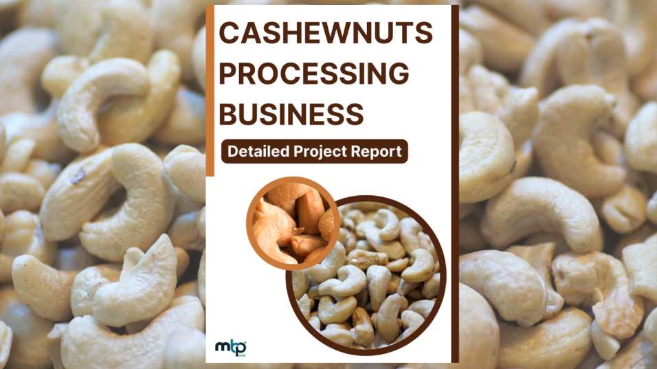 Cashew nuts Processing Business Project Report