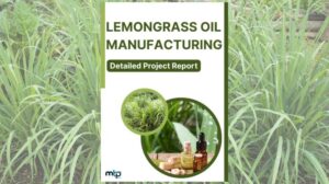 Lemongrass Oil Manufacturing Project Report