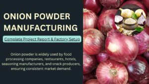 How to Start Onion Powder Manufacturing Business