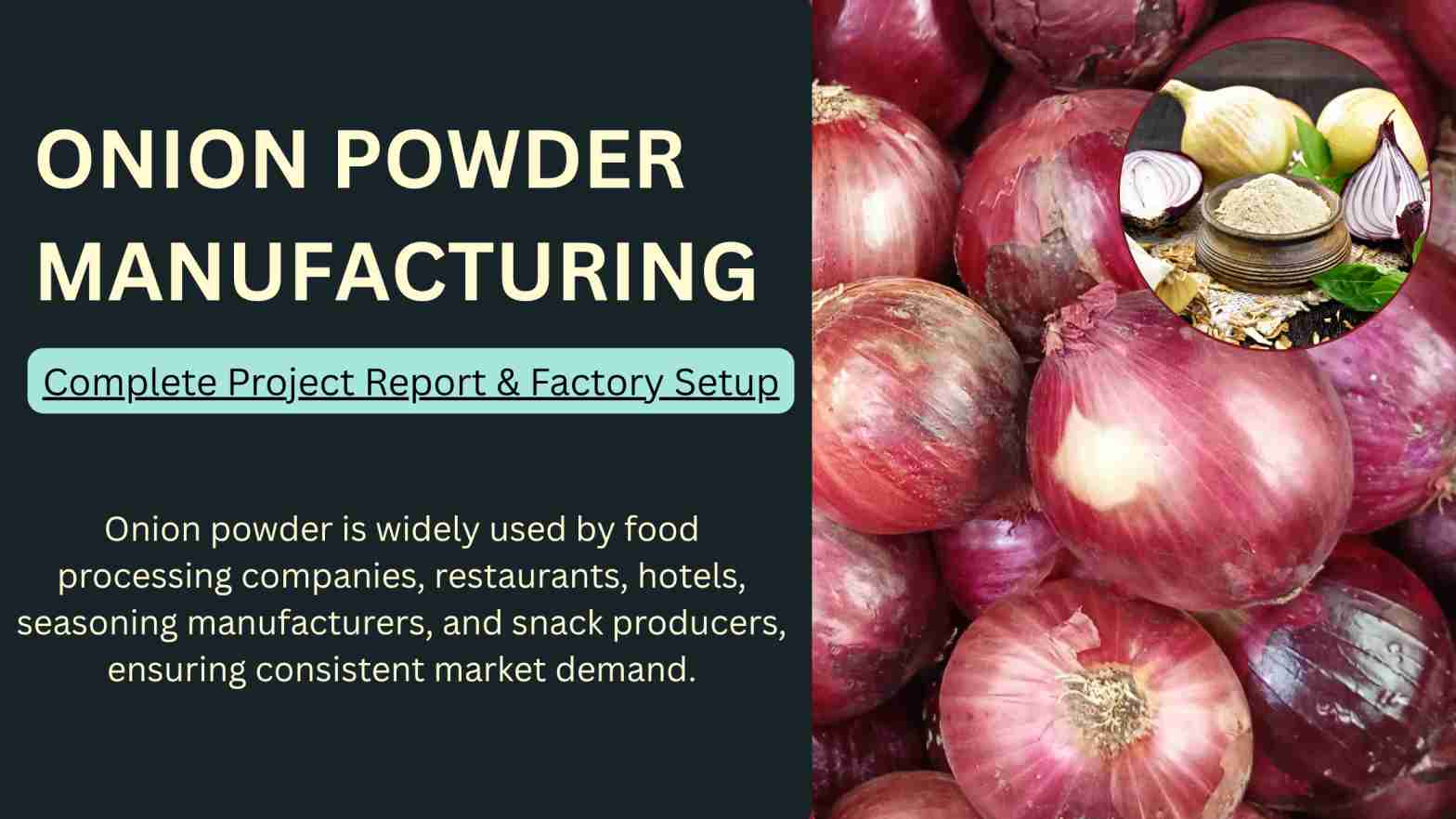 How to Start Onion Powder Manufacturing Business