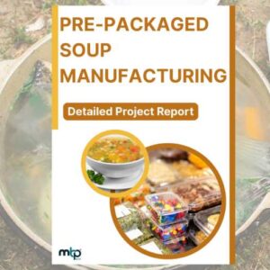 Instant Soup Manufacturing Business DPR