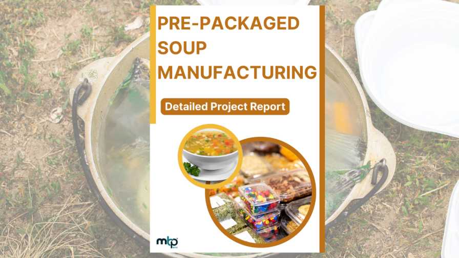 Instant Soup Manufacturing Business DPR
