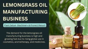 How to Start Lemongrass Oil Manufacturing Business