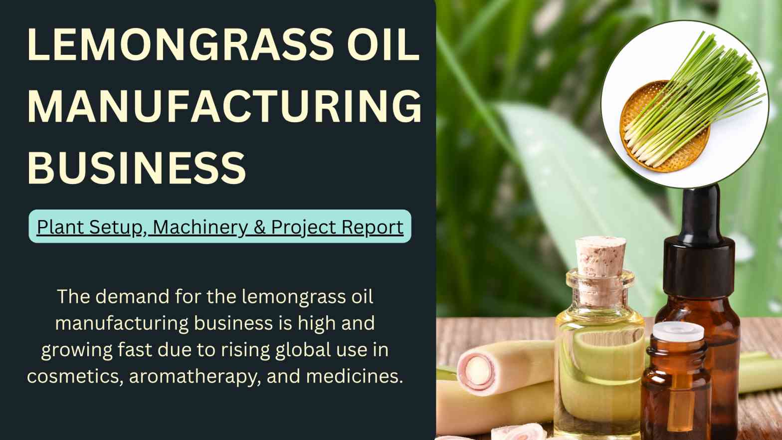 How to Start Lemongrass Oil Manufacturing Business