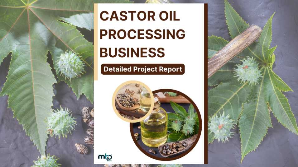 Castor Oil Manufacturing Project Report