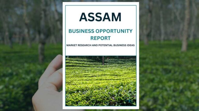 Assam Business Opportunity Report