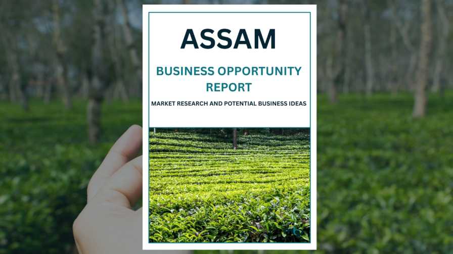 Assam Business Opportunity Report